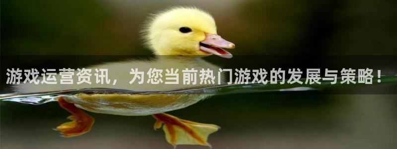 鼎点娱乐注册账号：游戏运营资讯，为您当前热门游戏的发展与策略