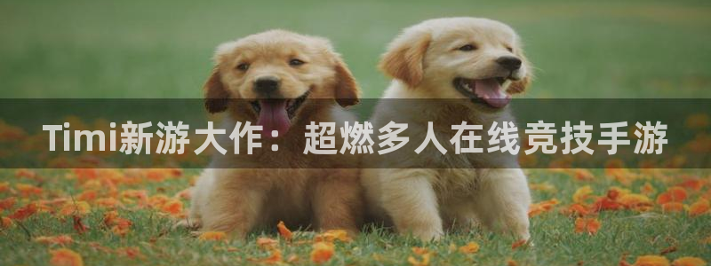 鼎点娱乐是什么：Timi新游大作：超燃多人在线竞技手游