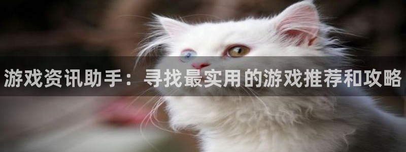 鼎点娱乐平台官网登录：游戏资讯助手：寻找最实用的游戏推荐和攻