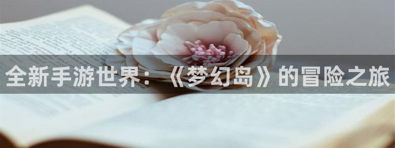鼎点娱乐注册：全新手游世界：《梦幻岛》的冒险之旅