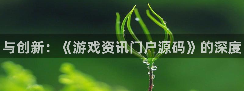 鼎点娱乐平台：与创新：《游戏资讯门户源码》的深度