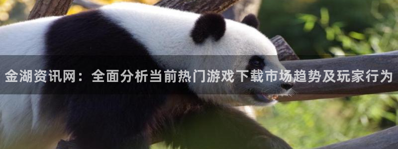 鼎点娱乐登陆测速：金湖资讯网：全面分析当前热门游戏下载市场趋