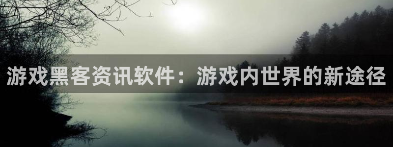 鼎点娱乐平台注册开户：游戏黑客资讯软件：游戏内世界的新途径