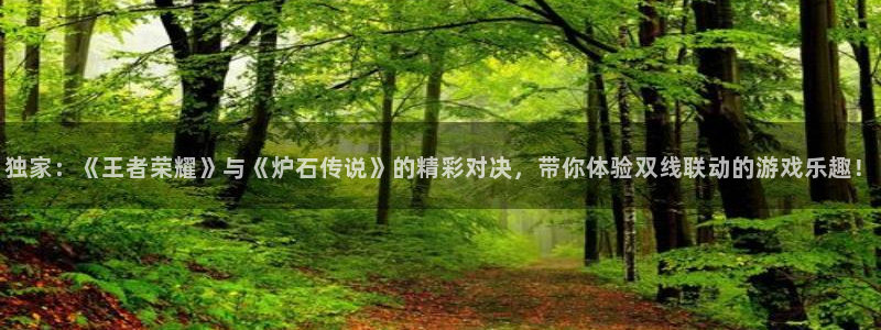 鼎点娱乐开户测速：独家：《王者荣耀》与《炉石传说》的精彩对决