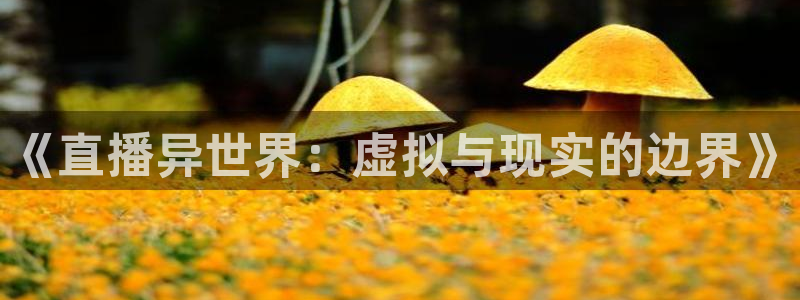 火凤直播五大联赛：《直播异世界：虚拟与现实的边界》