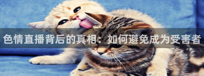 火凤直播足球赛免费视频：色情直播背后的真相：如何避免成为受害者