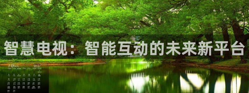 火凤体育nba直播：智慧电视：智能互动的未来新平台