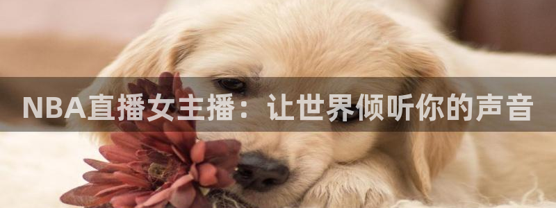 火凤足球直播免费观看全部：NBA直播女主播：让世界倾听你的声音