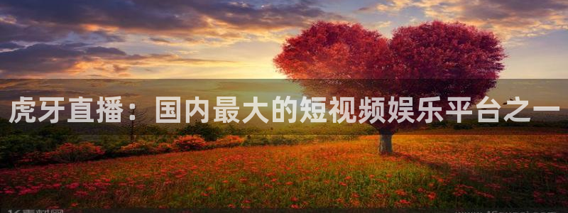 火凤体育直播在线观看高清：虎牙直播：国内最大的短视频娱乐平台之一