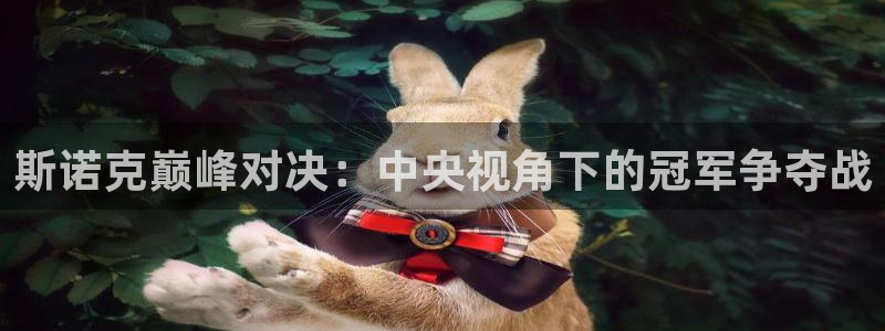 nba火凤直播：斯诺克巅峰对决：中央视角下的冠军争夺战